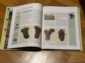 Nová škola vína - velmi dobrý stav - 3