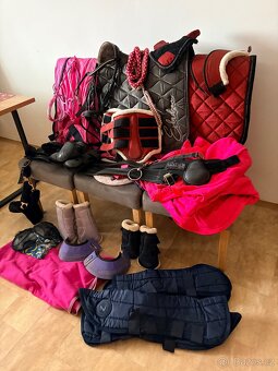 Vánoční balíček pro koně 🐎 - 3