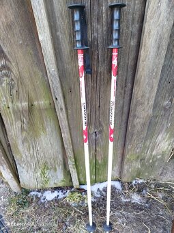 Lyžařské hůlky - 3