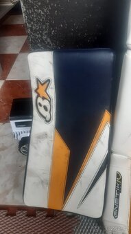 Brians GNETIK IV PRO Custom - 3