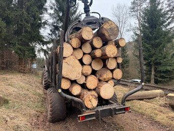 Rovnané palivové dřevo tvrdé - 3