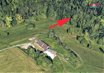 Prodej lesa a louky, 2693 m², Koberovy - 3