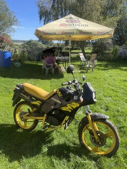 Jawa dandy 50 - 3