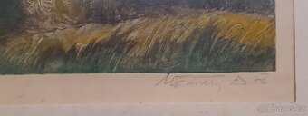 Obraz originál litografie Fusek Otto " Orlické hory " - 3