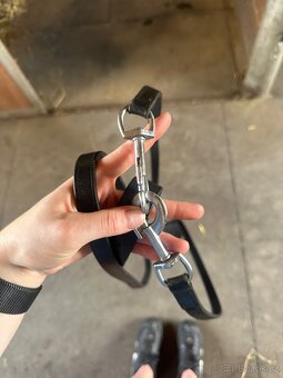 Theidemann martingal - 3