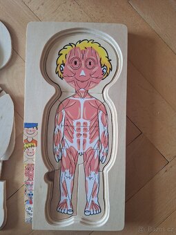 Dřevěné puzzle lidské tělo - 3
