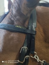 Biothane černá uzdečka - 3