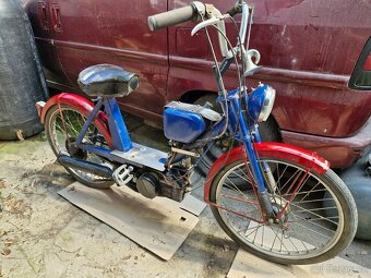 BABETTA 228 - 3