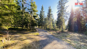 Prodej lesa, 4650 m², Chotěmice - 3