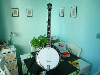 Pětistrunné banjo - 3