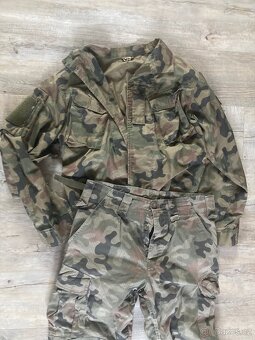 Maskáče polské letní - 3