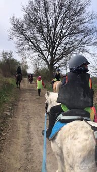 zlatá pony klisna - 3