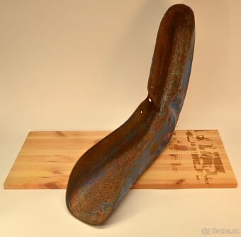 Pionýr blatník - 3