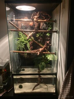 Terárium/Paludárium ReptiPlanet 45x45x90cm s 3D pozadím - 3