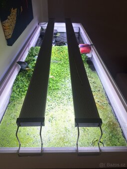 Akvárium Juwel Rio 240 - 3