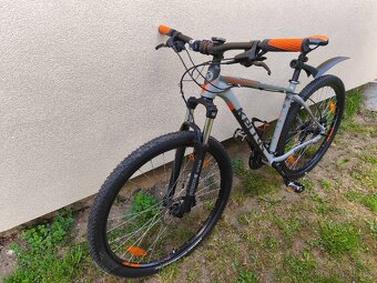 Kellys spider - 3