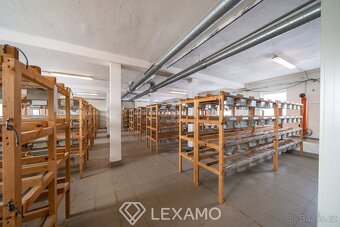 Pronájem výroba, 930 m2 - Moravské Budějovice - Vranín - 3