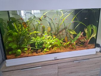 Juwel rio 120 - 3