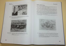 Rukověť starožitníka a sběratele 3. Z.KNÁPEK, 1999. - 3