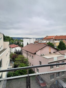 Pronájem bytu 1kk, Vídeňská, Brno - 3