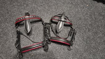 Kočárová uzdečka - 3