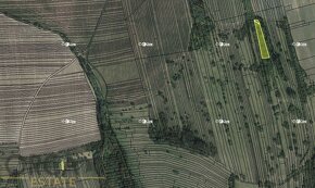Aukce 0,39 ha pozemků v k.ú. Kněždub - 3