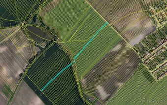 Prodej polí s velmi dobrou bonitou – 3,1 ha – Šitbořice - 3