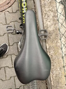 Trek 20” Wahoo - 3