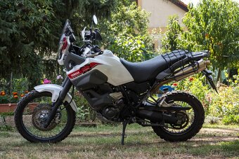 Yamaha XT 660 Z Tenere 2012 - 3