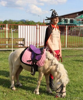 Minihorse - 3