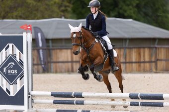Klisna Pony B - 3