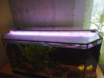 Akvárium 290l s vybavením - 3