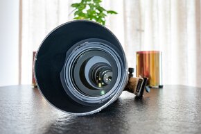 nikon 200-500 >>>ostry kus - 3