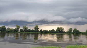 Pronajmu pozemky na rekreaci a rybaření. - 3