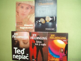 romány pro ženy a dívky Small, Cordonnierová - 3