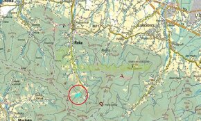 Lesní pozemek k.ú. Řeka, okr. Frýdek - Místek, CP 59305 m2 - 3