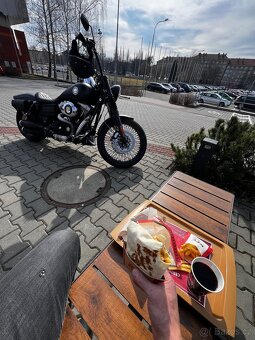 Harley - Davidson FXDF - 3