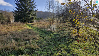 Prodej pozemku o 1669m2 v Dalovicích, Karlových Varech. - 3