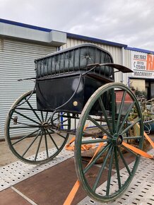 sulka riksa gig dvojkolka jako maratonak/morgan kone popruhy - 3
