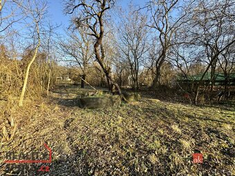 Prodej, domy/chata, 21 m2, Brněnské Ivanovice E136, 62000 Br - 3
