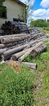 palivové dřevo, SM suchá kůrovcová kulatina 3m - 3