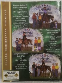 Prodám Appaloose 09.2006 - 3