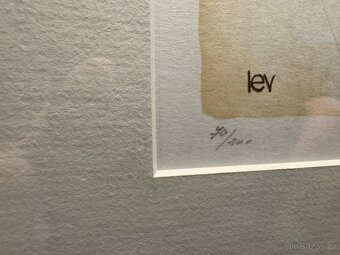 obraz Saša Lebedová znamení Lev - 3