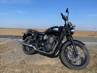 Triumf Bonneville t100 (2015) - 3