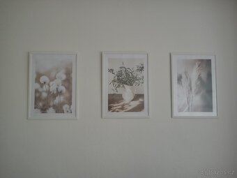 Prodám zarámované umělecké fotografie - 3