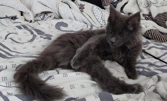 Poslední modrá holčička - 3