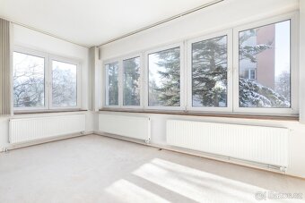 Pronájem bytu 3+1 150 m2 - 3