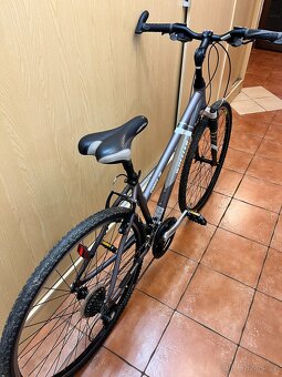 Wheeler Cross 36(TOP STAV) - 3