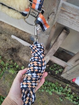 Oranžová eskdron ohlávka a vodítko - 3