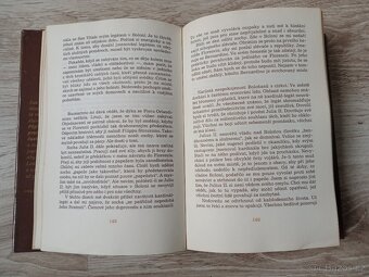 Deník Michelangela blázna - Cristofanelli - 3